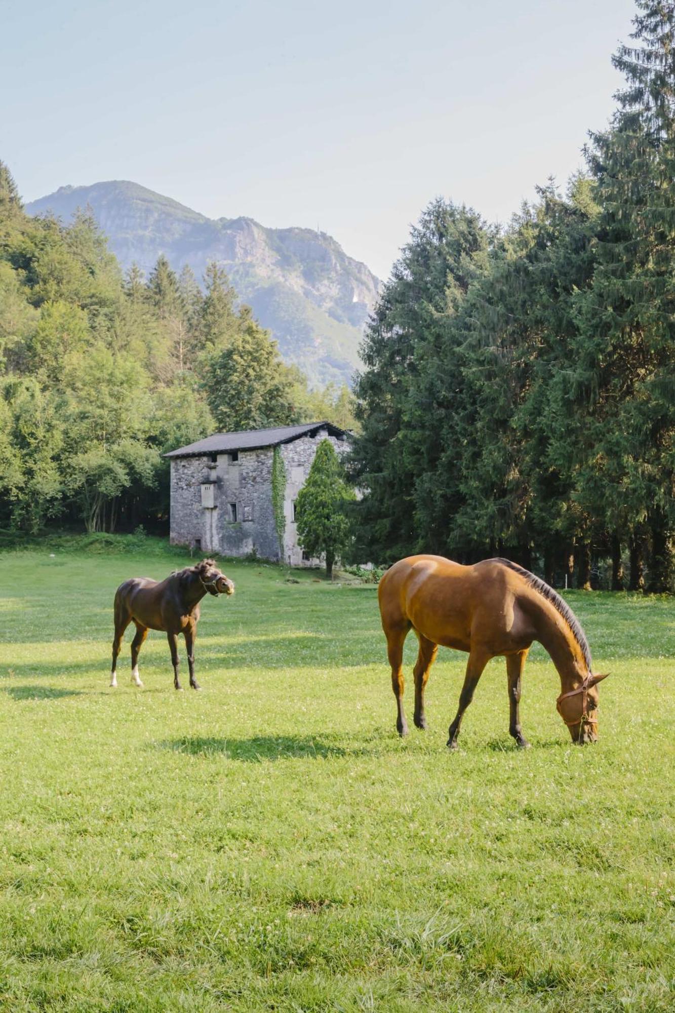 Agriturismo Ferdy Βίλα Lenna Εξωτερικό φωτογραφία