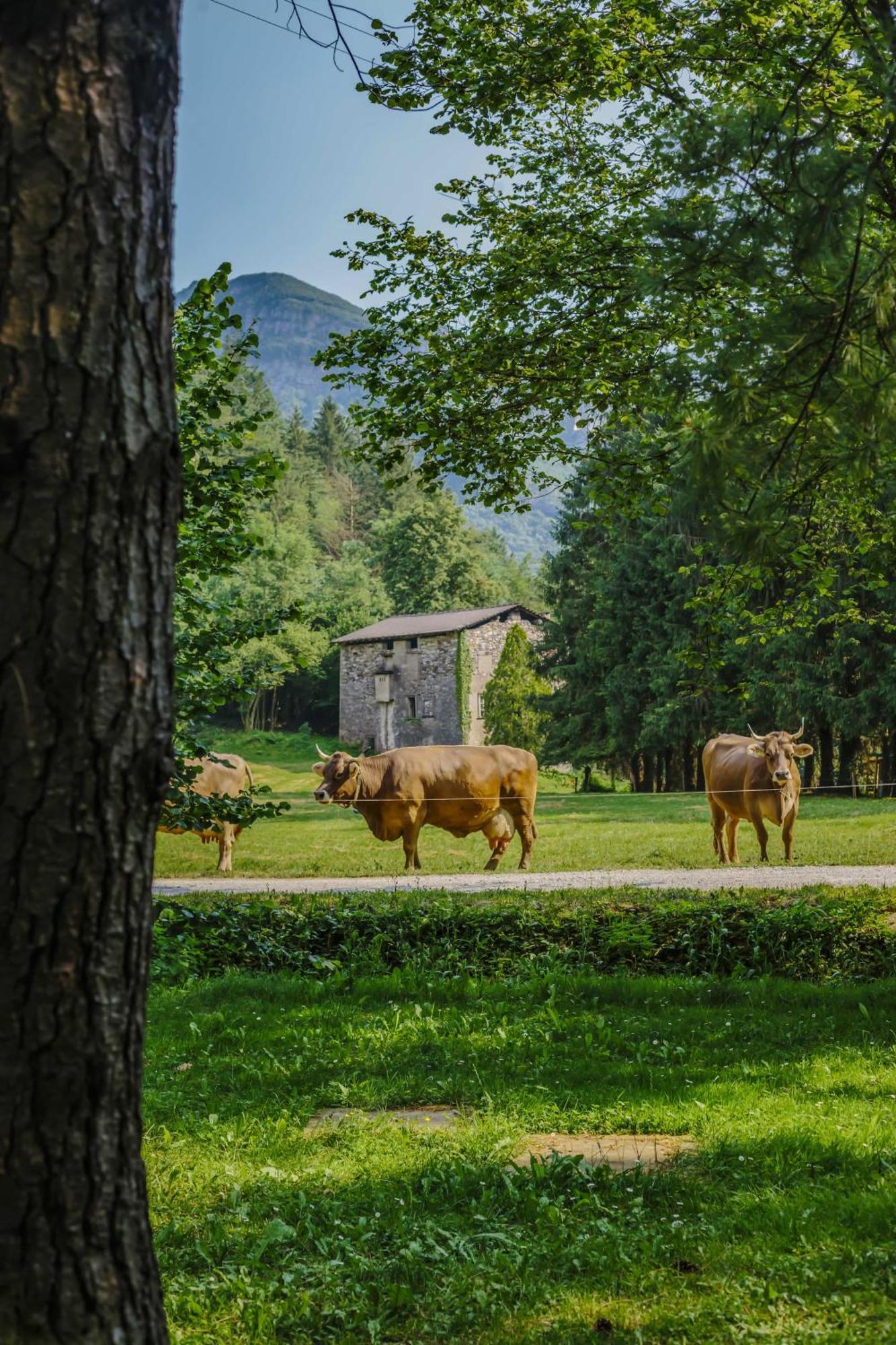 Agriturismo Ferdy Βίλα Lenna Εξωτερικό φωτογραφία