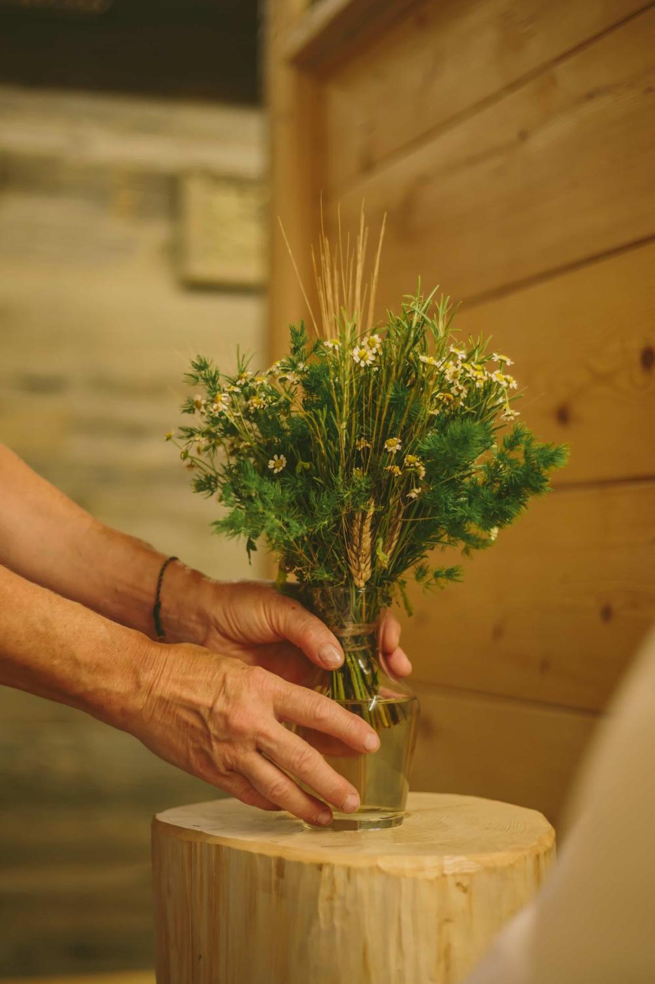 Agriturismo Ferdy Βίλα Lenna Δωμάτιο φωτογραφία